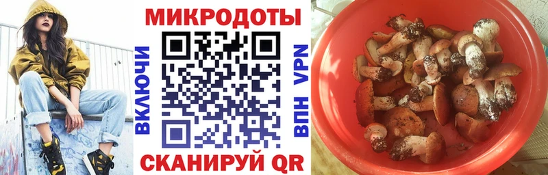 Псилоцибиновые грибы Magic Shrooms  даркнет официальный сайт  Нефтегорск 